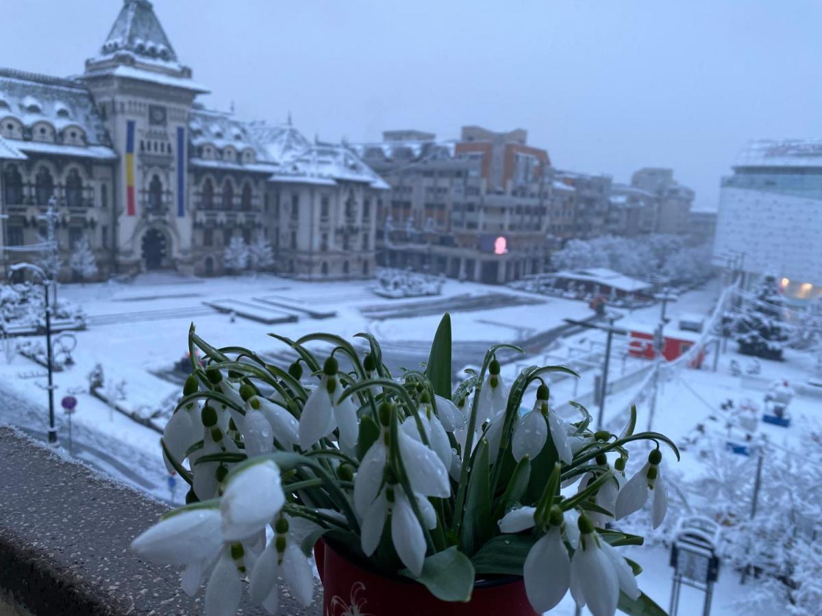Sweet Cozy Ultracentral Крайова Екстериор снимка