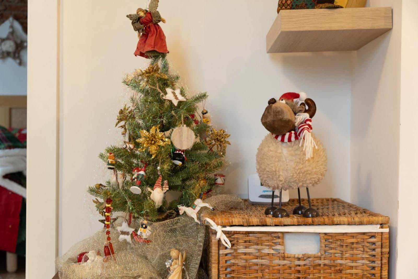 Sweet Cozy Ultracentral Крайова Екстериор снимка